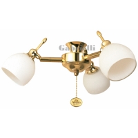 207-252  Florence Ceiling Fan Light Polished Brass