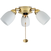 207-284  Amorie Ceiling Fan Light Polished Brass