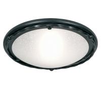 180-5212 Peppino LED Flush Ceiling Light Black