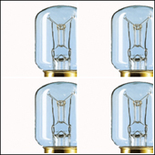 Standard Pygmy Lamps 